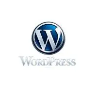 wordpress website design
